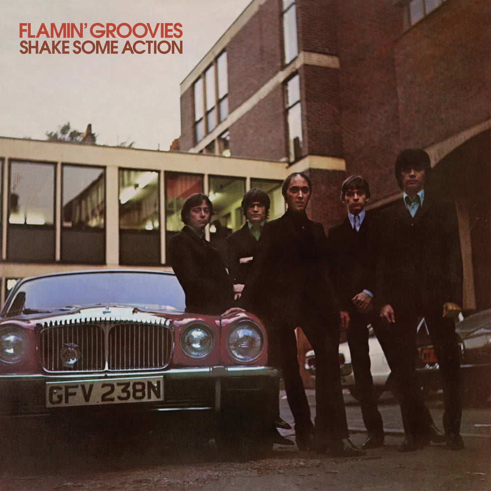 Flamin' Groovies "Shake Some Action" ∙ Vinyl ∙ LP