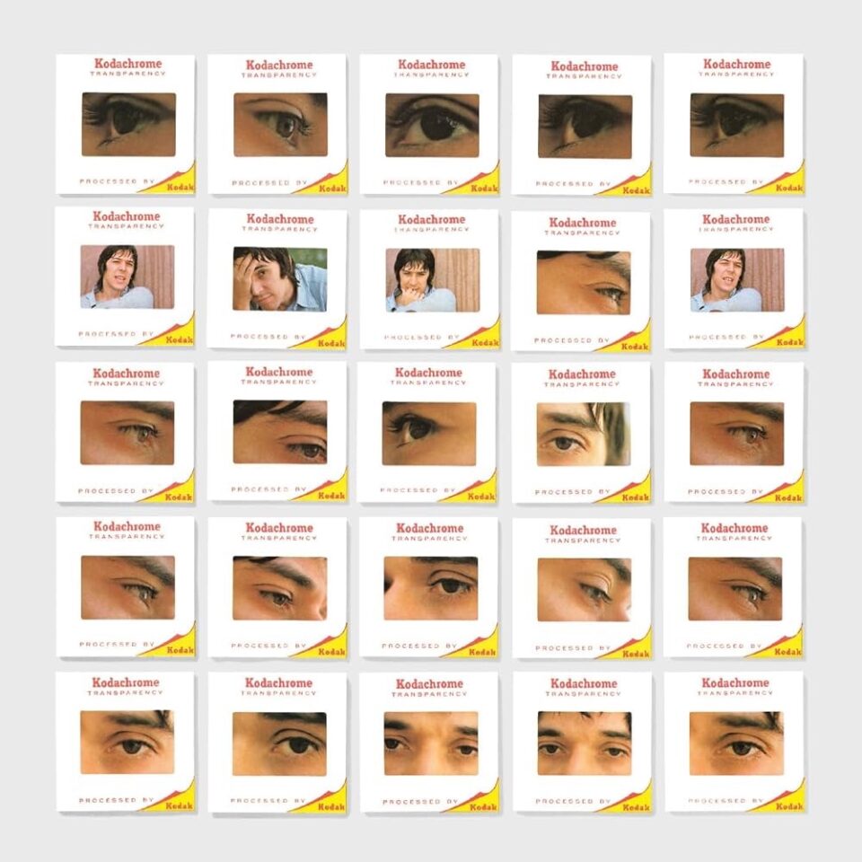 John Cale "The Academy In Peril (Remastered)" ∙ Vinyl ∙ LP
