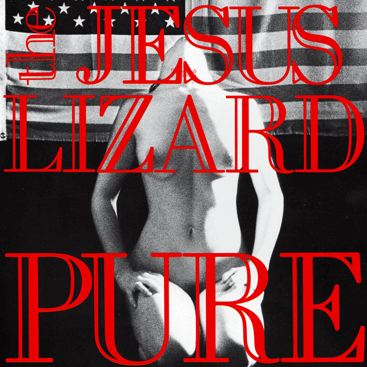 The Jesus Lizard "Pure" ∙ Vinyl ∙ LP