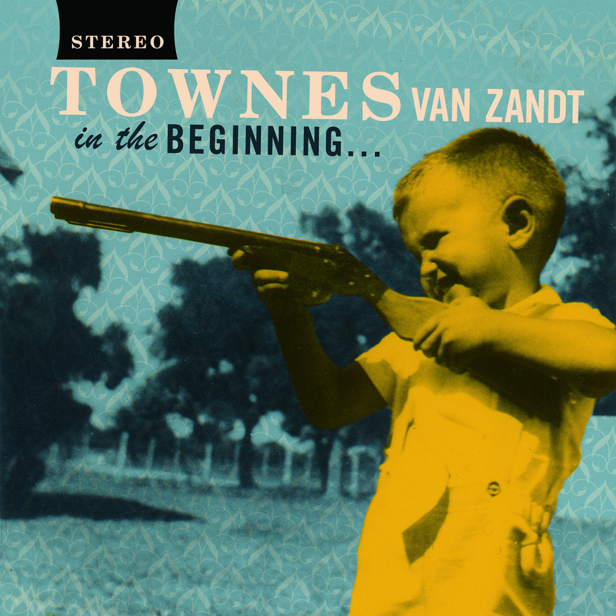 Townes Van Zandt "In the Beginning..." ∙ Vinyl ∙ LP