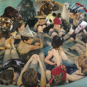 Panda Bear "Person Pitch" ∙ Vinyl ∙ 2xLP