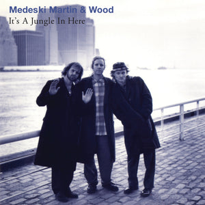Medeski, Martin & Wood "It's a Jungle in Here" ∙ Vinyl ∙ LP