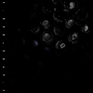 Crumb "Ice Melt" ∙ Vinyl ∙ LP