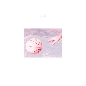 Porches "Pool" ∙ Vinyl ∙ LP