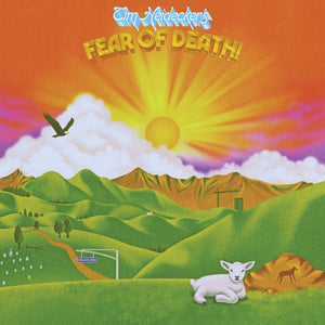 Tim Heidecker "Fear Of Death" ∙ Vinyl ∙ LP