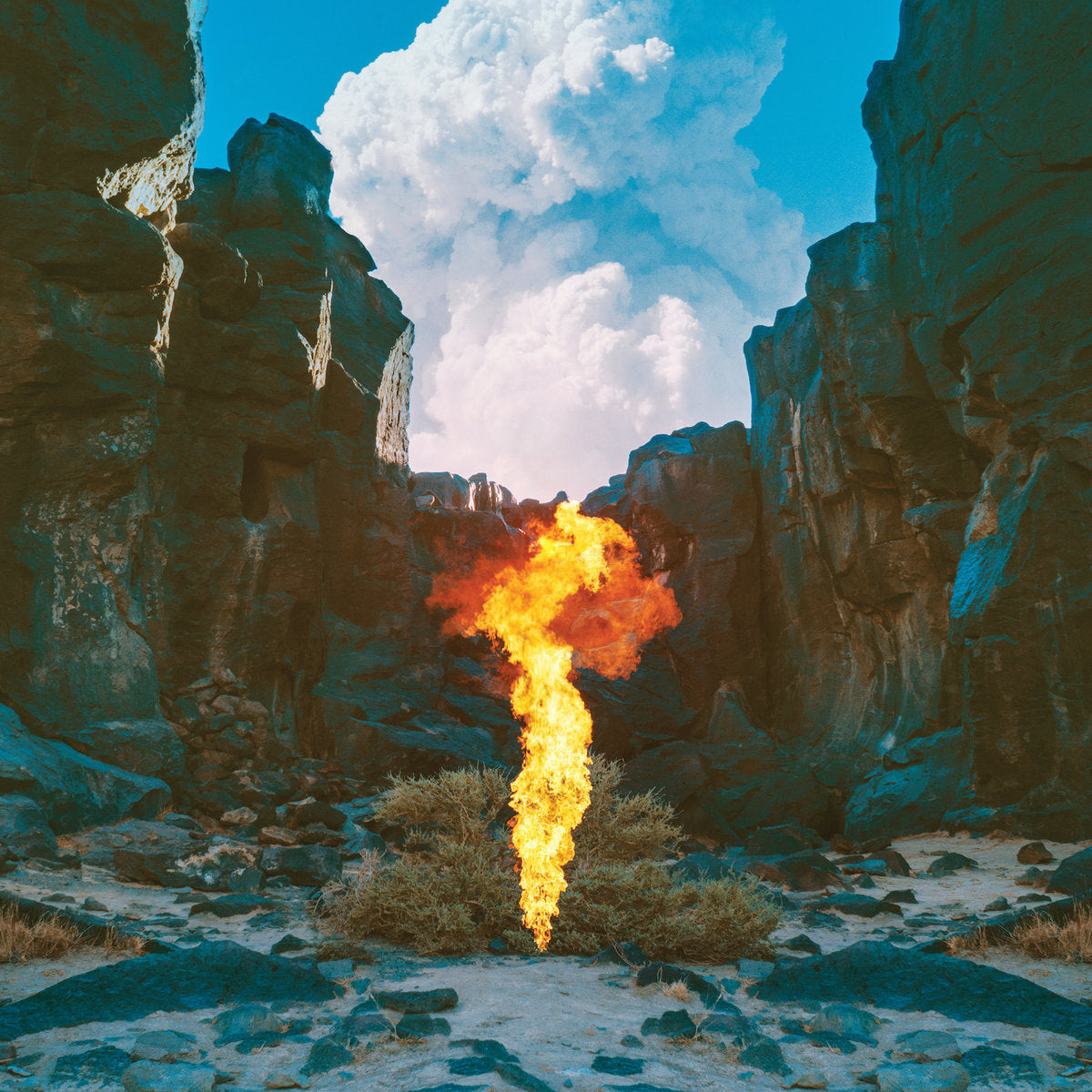 Bonobo "Migration" ∙ Vinyl ∙ 2xLP