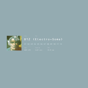 B12 "Electro-Soma" ∙ Vinyl ∙ 2xLP