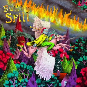 Built To Spill "When the Wind Forgets Your Name" ∙ Vinyl ∙ LP