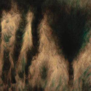William Basinski "Lamentations" ∙ Vinyl ∙ 2xLP