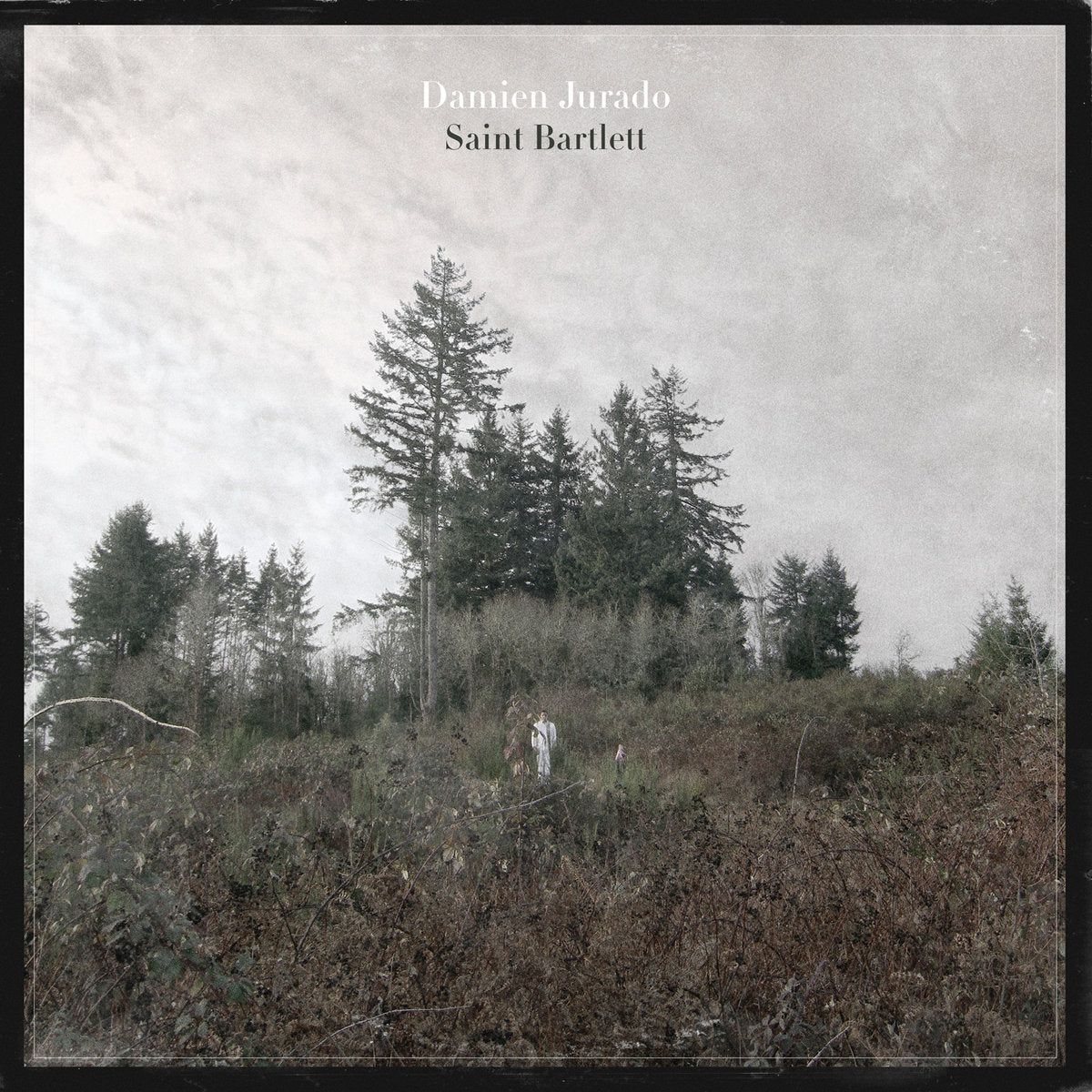 Damien Jurado "Saint Bartlett" ∙ Vinyl ∙ LP