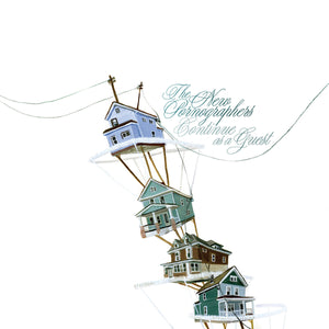 The New Pornographers "Continue as a Guest" ∙ Green in Blue Vinyl ∙ LP