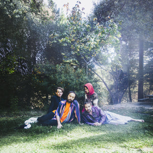 Big Thief "U.F.O.F." LP on vinyl!  