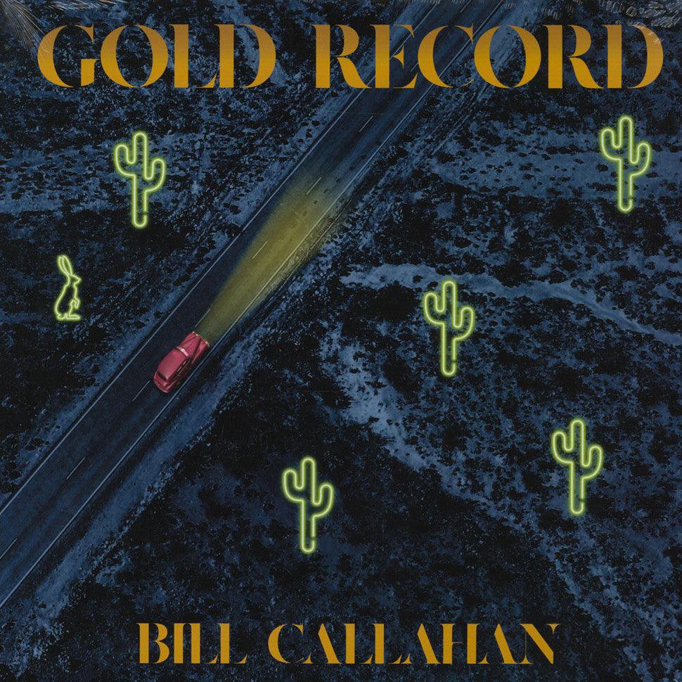 Bill Callahan "Gold Record " LP on vinyl!  