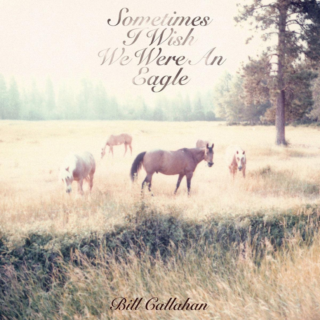 Bill Callahan "Sometimes I Wish We Were An Eagle" LP on vinyl!  