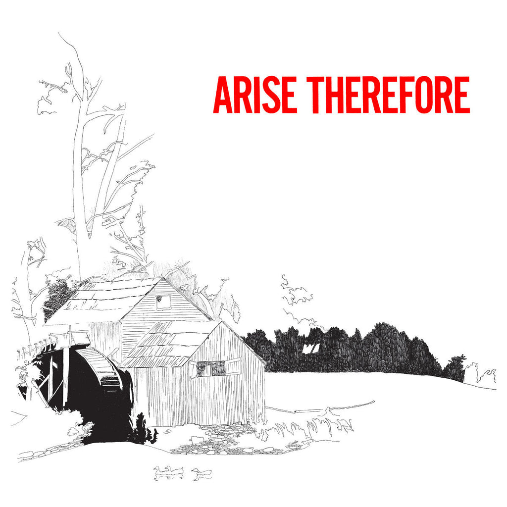 Bonnie 'Prince' Billy "Arise Therefore" LP on vinyl!  