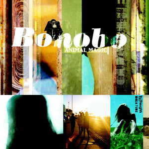 Bonobo "Animal Magic" 2xLP on vinyl! 