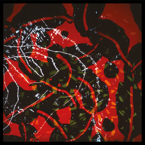 Brian Eno "Nerve Net" 2xLP on vinyl!  
