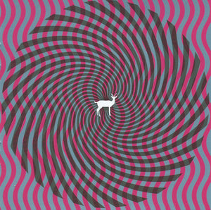 Deerhunter "Cryptograms/Flourescent Grey" LP on vinyl! 