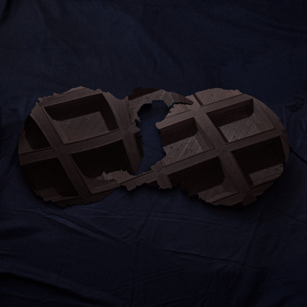 Dirty Projectors "Dirty Projectors" 2xLP on vinyl!  