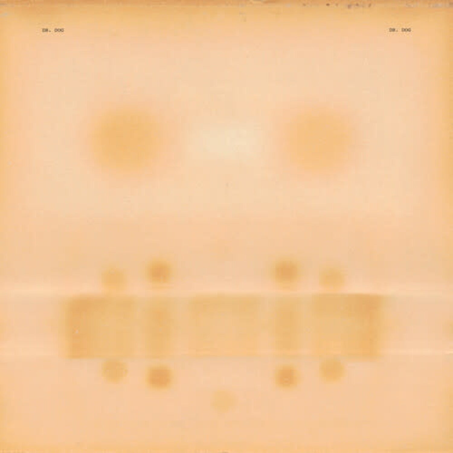 Dr. Dog "Dr. Dog" ∙ Vinyl ∙ LP