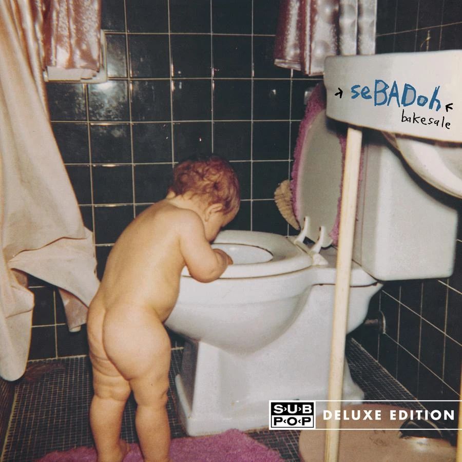 Sebadoh "Bakesale (Deluxe)" LP on vinyl!  