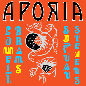 Lowell Brams & Sufjan Stevens "Aporia" LP on vinyl! 