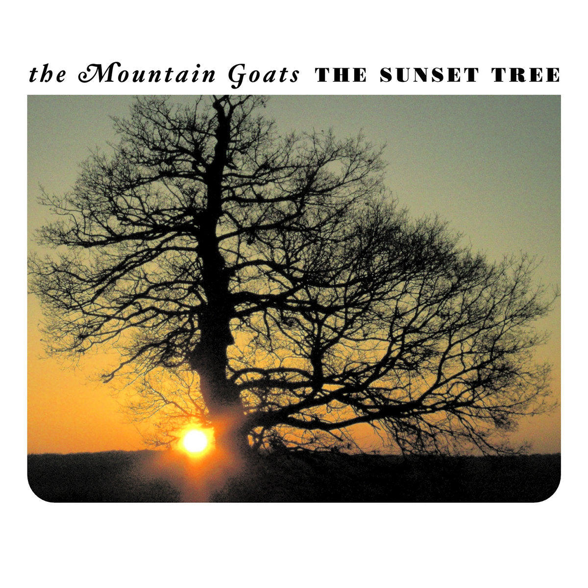 The Mountain Goats "The Sunset Tree" LP on vinyl!  