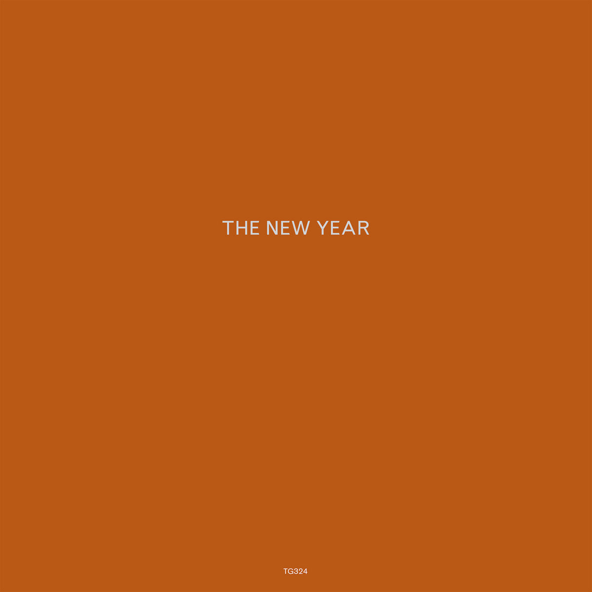 The New Year "The New Year" LP on vinyl! 