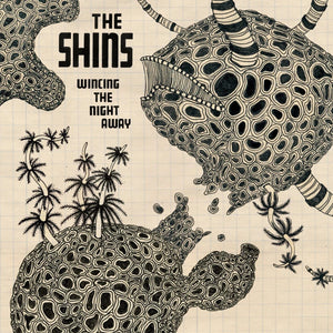 The Shins "Wincing The Night Away" LP on vinyl!  