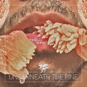 Toro y Moi "Underneath The Pine" LP on vinyl! 