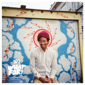 Toro y Moi "What For?" LP on vinyl! 